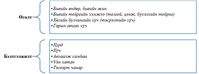 Зураг 5. Бие бялдрын хөгжлийн бүрдэл