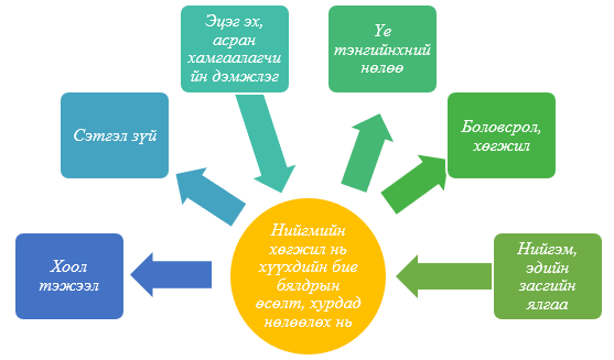 Зураг 7. Бие бялдрын өсөлт хөгжилд нөлөөлөх хүчин зүйл