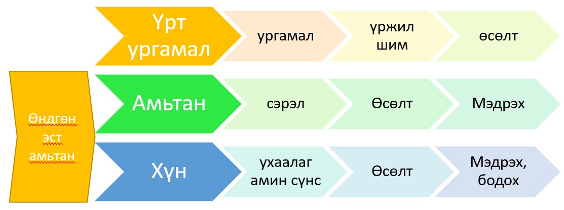 Аристотелийн амин сүнсний тухай зарчим