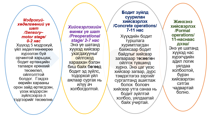 Зураг 2.2.2. Ж.Пиажегийн танин мэдэхүйн хөгжлийн 4 үе шат.
