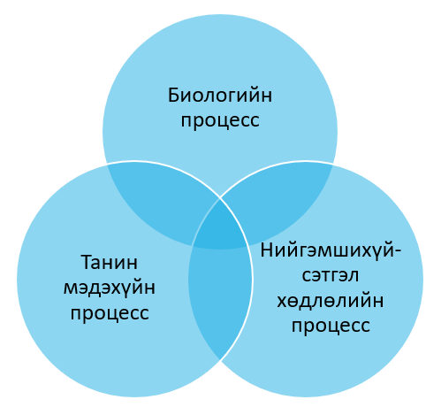 Зураг1. Бага насны хүүхдийн хөгжлийн процесс